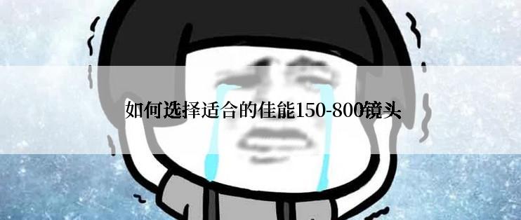  如何选择适合的佳能150-800镜头