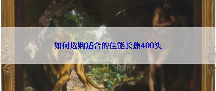 如何选购适合的佳能长焦400头