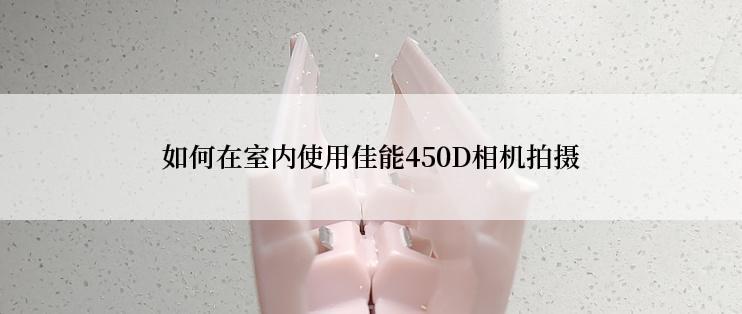 如何在室内使用佳能450D相机拍摄