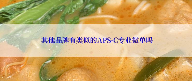  其他品牌有类似的APS-C专业微单吗