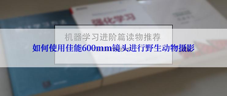 如何使用佳能600mm镜头进行野生动物摄影