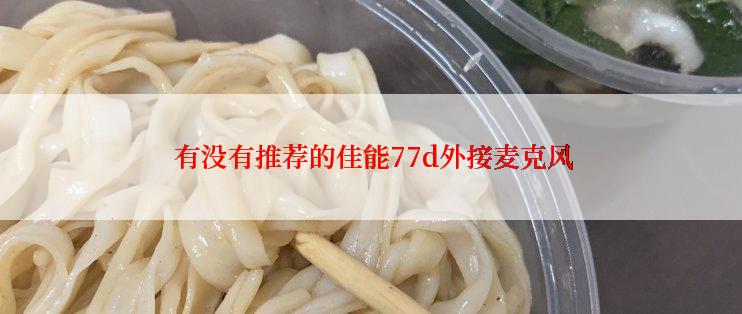  有没有推荐的佳能77d外接麦克风