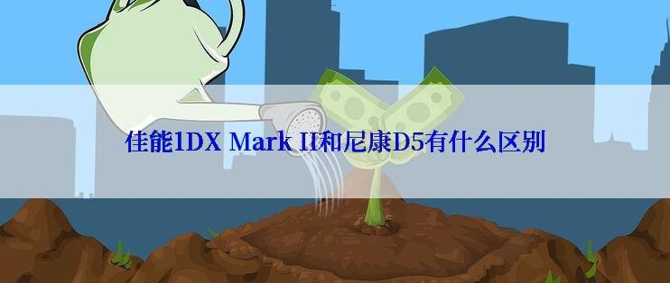 佳能1DX Mark II和尼康D5有什么区别