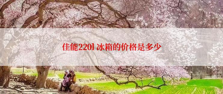 佳能220l 冰箱的价格是多少