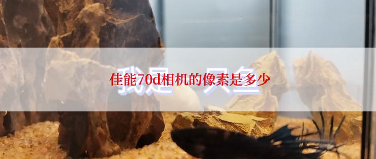  佳能70d相机的像素是多少