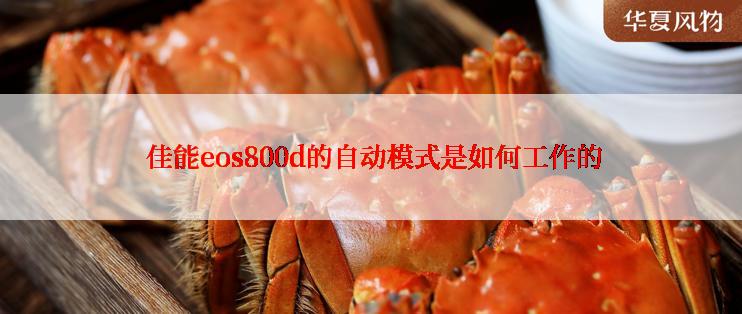  佳能eos800d的自动模式是如何工作的