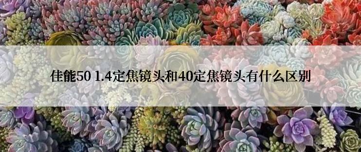 佳能50 1.4定焦镜头和40定焦镜头有什么区别