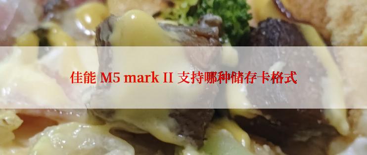 佳能 M5 mark II 支持哪种储存卡格式