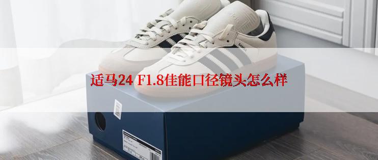 适马24 F1.8佳能口径镜头怎么样