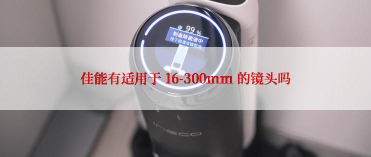 佳能有适用于 16-300mm 的镜头吗