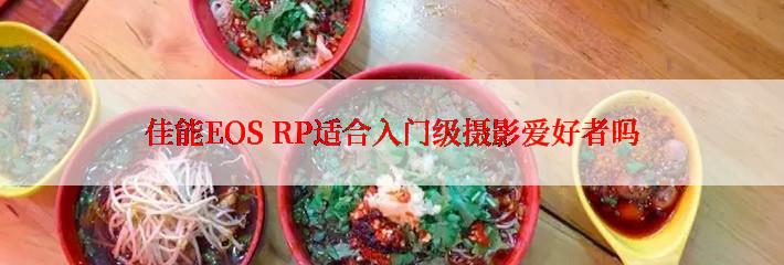 佳能EOS RP适合入门级摄影爱好者吗