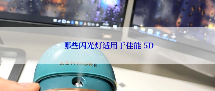  哪些闪光灯适用于佳能 5D