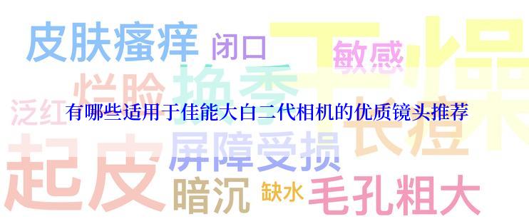  有哪些适用于佳能大白二代相机的优质镜头推荐