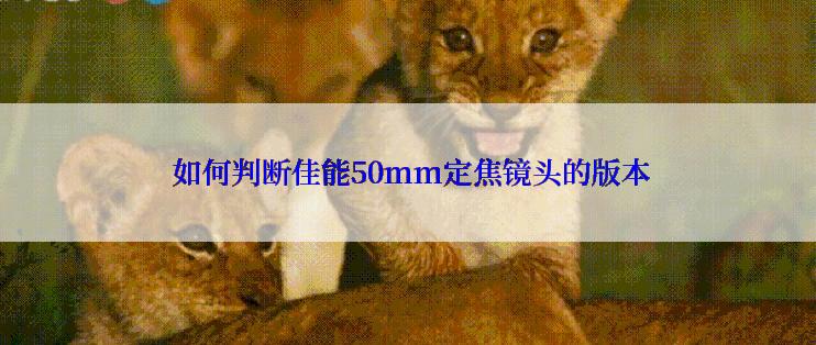  如何判断佳能50mm定焦镜头的版本