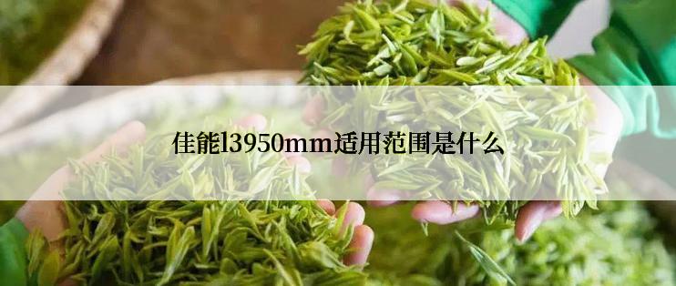 佳能l3950mm适用范围是什么