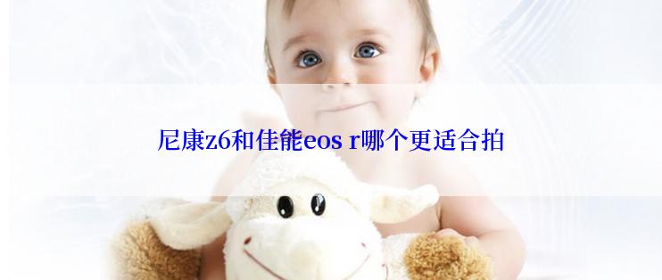 尼康z6和佳能eos r哪个更适合拍