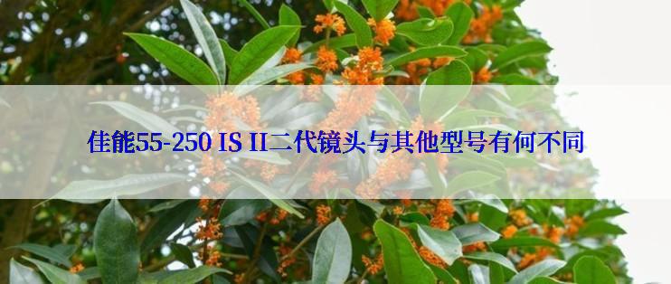 佳能55-250 IS II二代镜头与其他型号有何不同