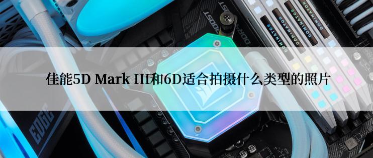  佳能5D Mark III和6D适合拍摄什么类型的照片