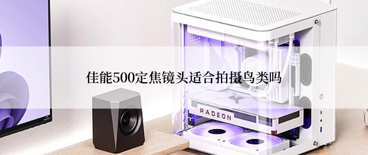 佳能500定焦镜头适合拍摄鸟类吗