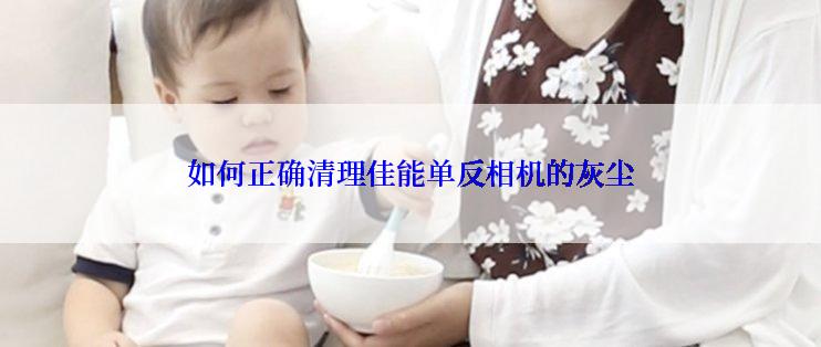 如何正确清理佳能单反相机的灰尘