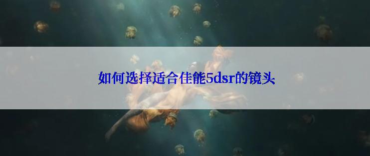  如何选择适合佳能5dsr的镜头