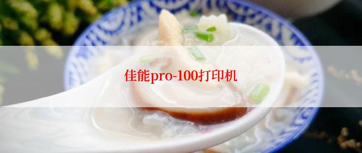 佳能pro-100打印机