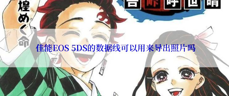  佳能EOS 5DS的数据线可以用来导出照片吗