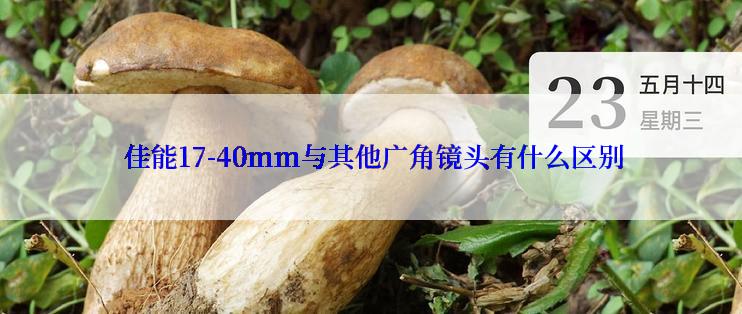  佳能17-40mm与其他广角镜头有什么区别