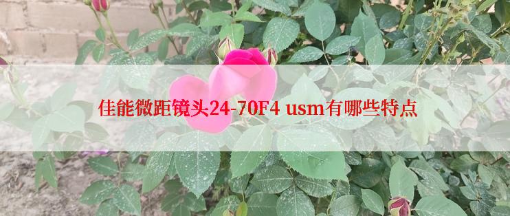  佳能微距镜头24-70F4 usm有哪些特点