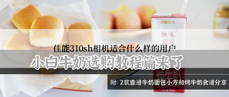 佳能310sh相机适合什么样的用户