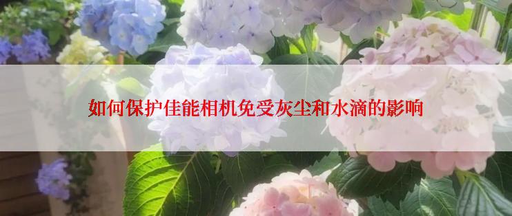 如何保护佳能相机免受灰尘和水滴的影响