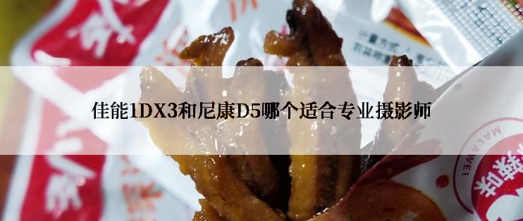 佳能1DX3和尼康D5哪个适合专业摄影师