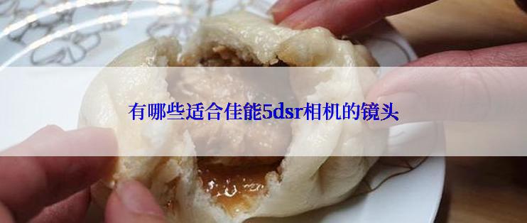 有哪些适合佳能5dsr相机的镜头