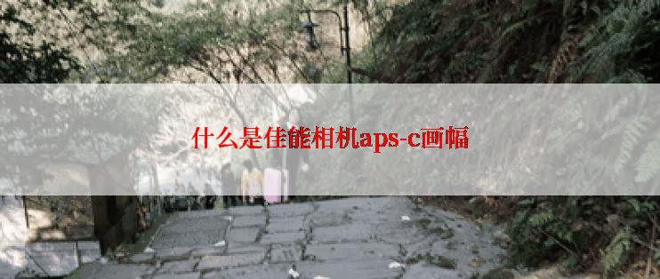 什么是佳能相机aps-c画幅