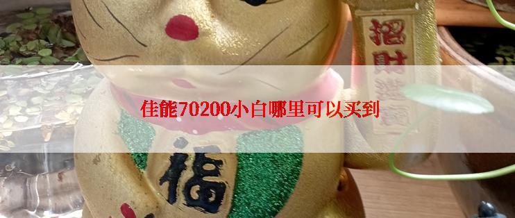  佳能70200小白哪里可以买到