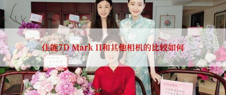 佳能7D Mark II和其他相机的比较如何