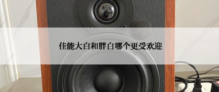  佳能大白和胖白哪个更受欢迎