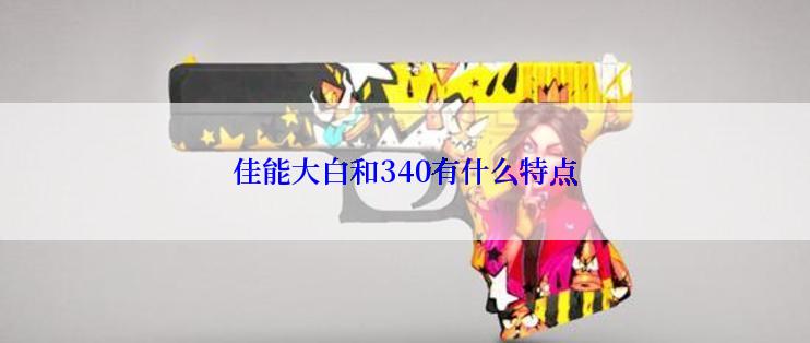 佳能大白和340有什么特点