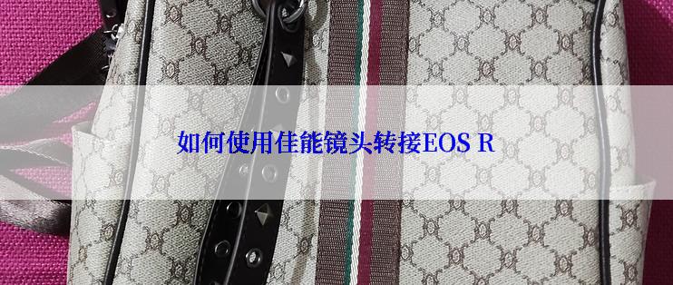 如何使用佳能镜头转接EOS R