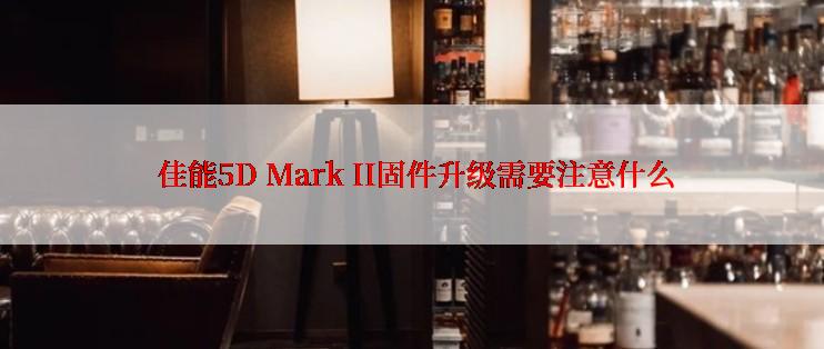  佳能5D Mark II固件升级需要注意什么