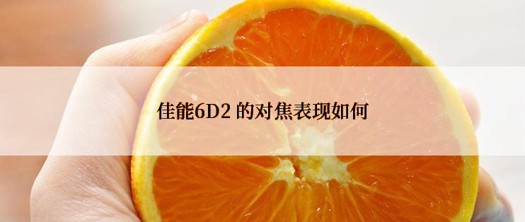 佳能6D2 的对焦表现如何