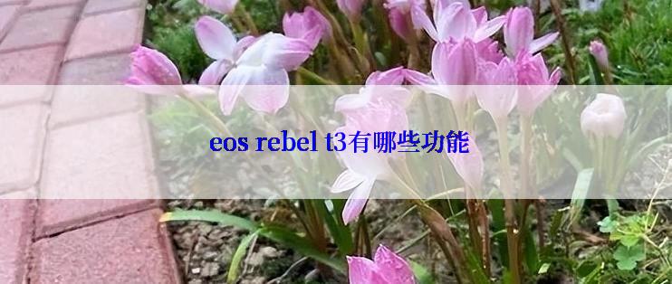  eos rebel t3有哪些功能