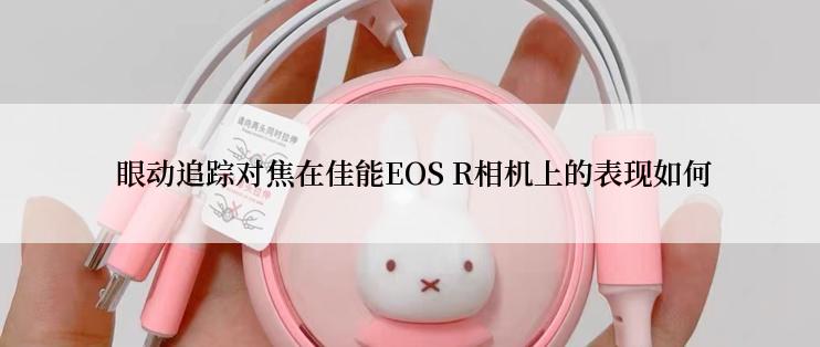  眼动追踪对焦在佳能EOS R相机上的表现如何