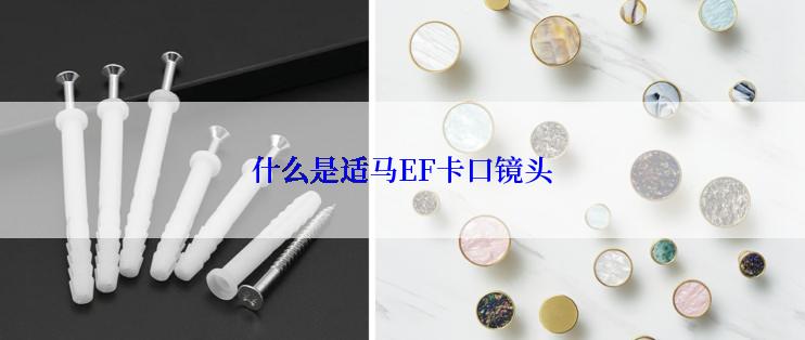 什么是适马EF卡口镜头