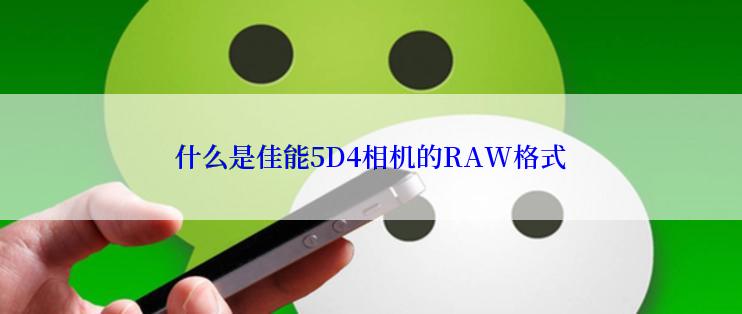 什么是佳能5D4相机的RAW格式