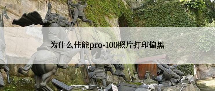 为什么佳能pro-100照片打印偏黑