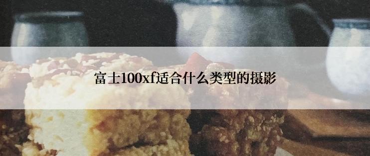 富士100xf适合什么类型的摄影