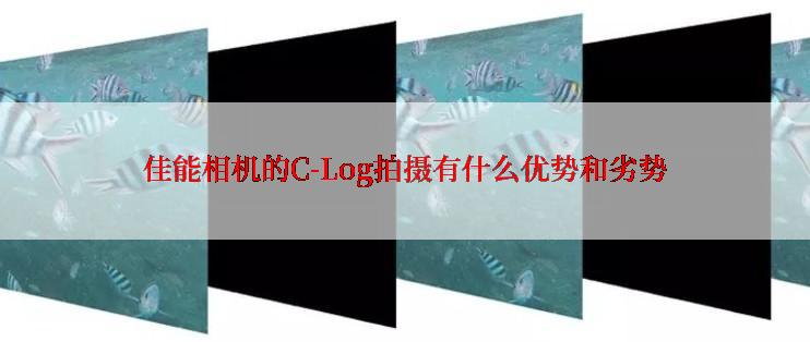 佳能相机的C-Log拍摄有什么优势和劣势