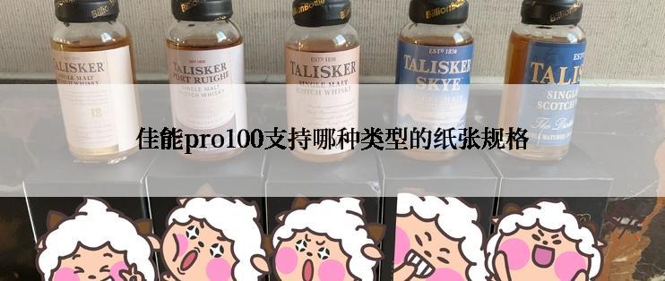 佳能pro100支持哪种类型的纸张规格