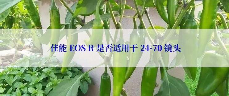  佳能 EOS R 是否适用于 24-70 镜头